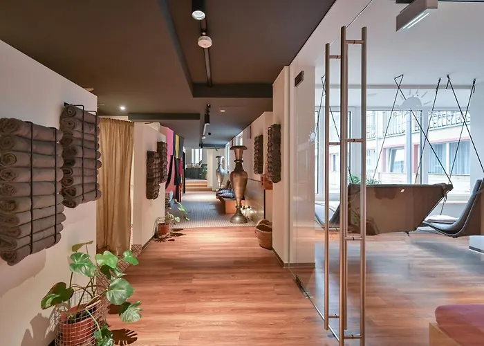 酒店 索内酒店 4*