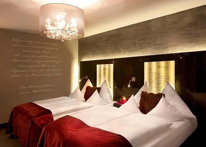 酒店 索内酒店 4*