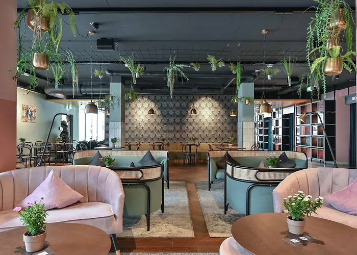 酒店 索内酒店 4*