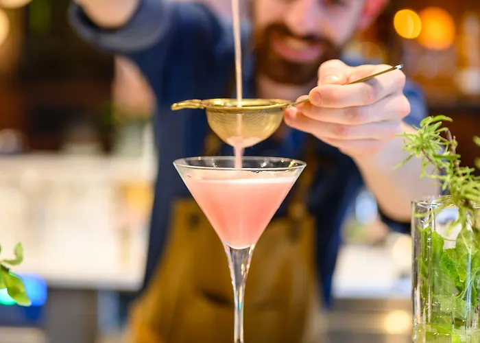 酒店 索内酒店 4*