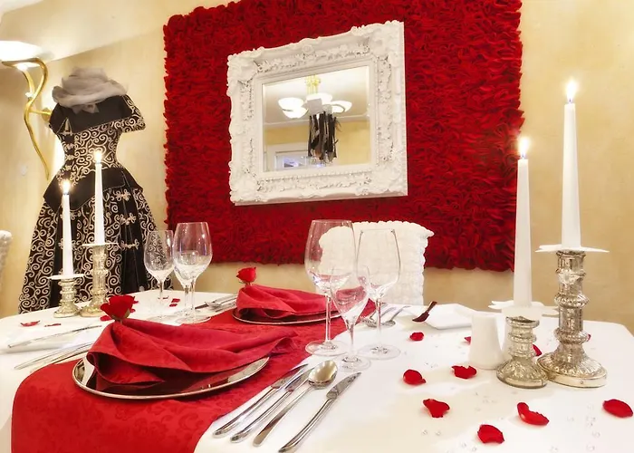 酒店 索内酒店 4*